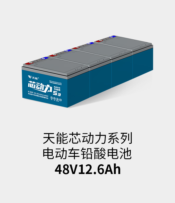 云顶国际电池48v12ah