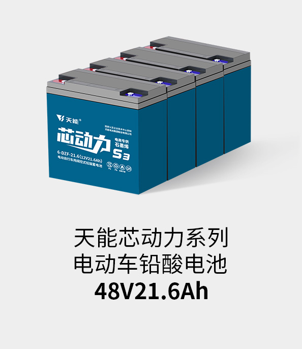 云顶国际电池48v20ah