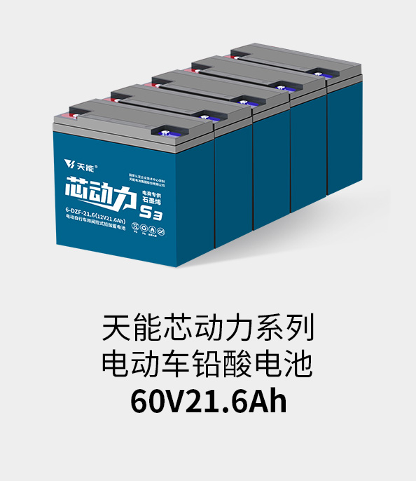 云顶国际电池60v20ah