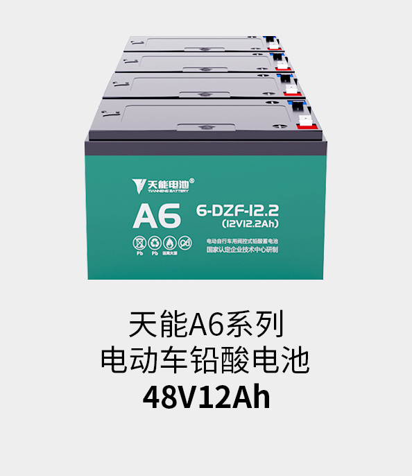 云顶国际电池48v12ah