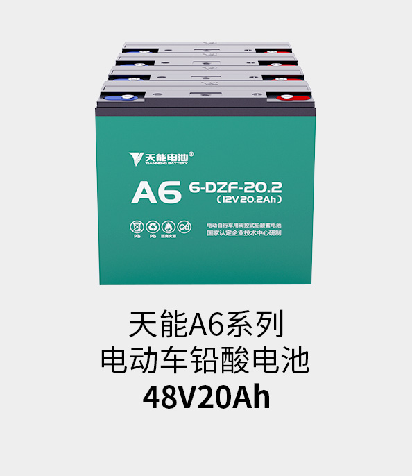 云顶国际电池48v20ah