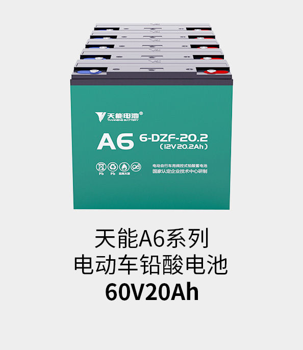 云顶国际电池60v20ah