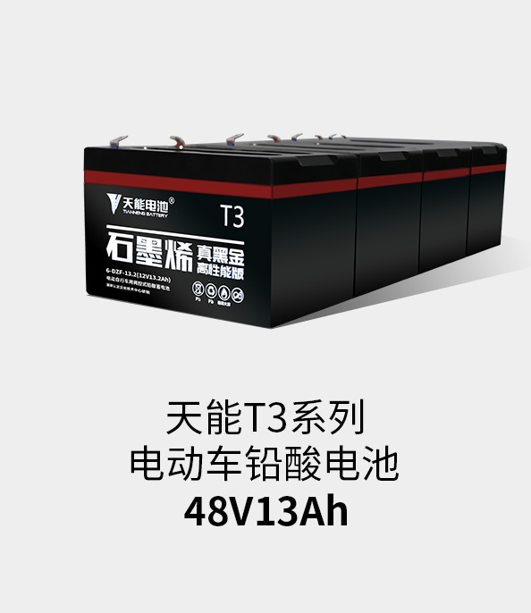 云顶国际T3系列48v13ah